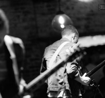 None The Wiser-1