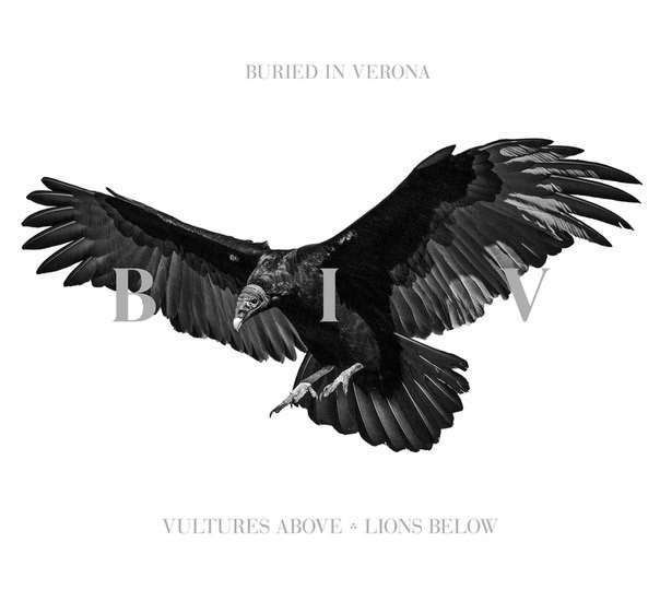 vulturesabove