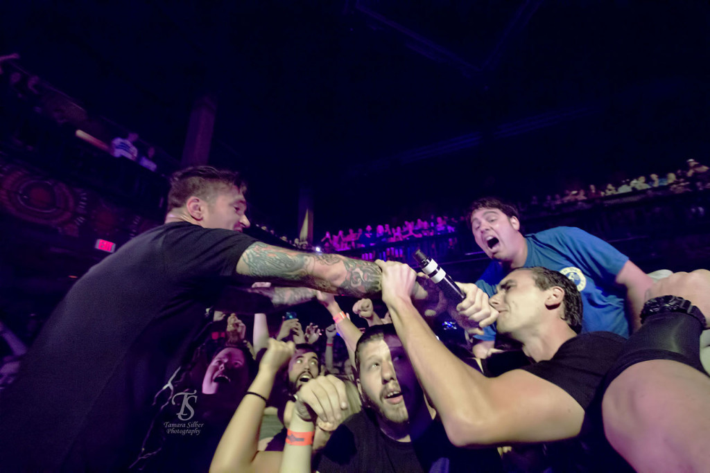 nfg3