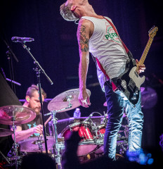 ballyhoo_8129