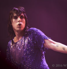 The Struts IMG_4966