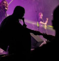 The_Struts_7771