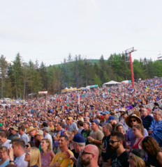Crowd