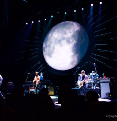 Ray Lamontagne5 watermark