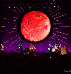 Ray Lamontagne7 watermark