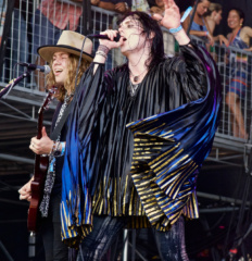 The Struts- watermark