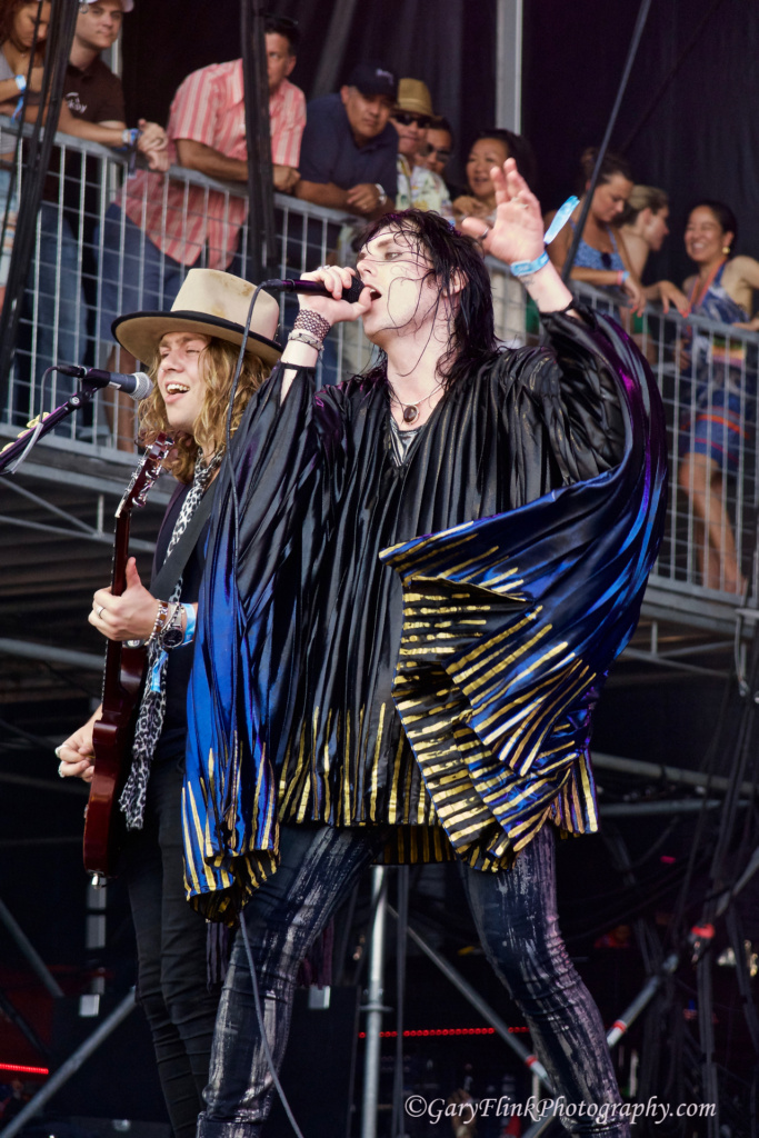 The Struts- watermark