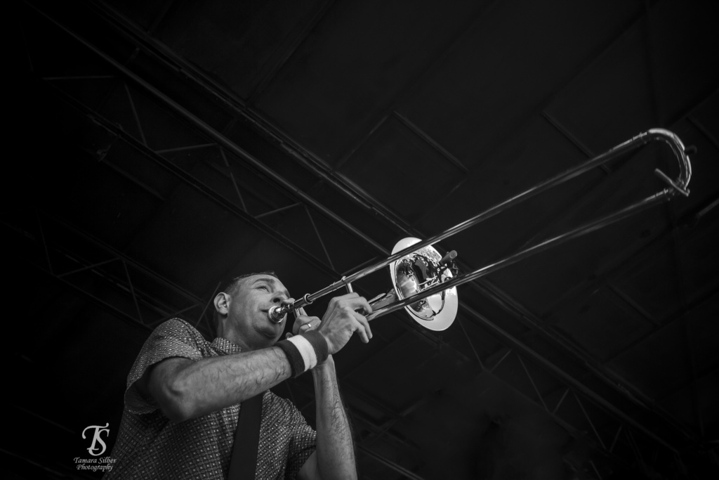 ReelBigFish-1