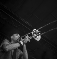 ReelBigFish-1