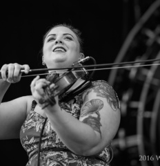 YonderMountainStringBandIMG_2283