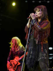 heart-img_6202