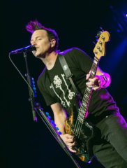 blink6