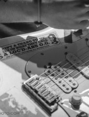 Badfish IMG_1775