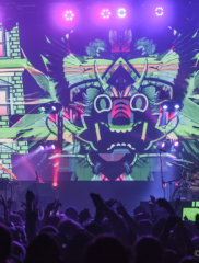 Big Gigantic IMG_0794