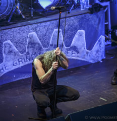 Overkill IMG_4744