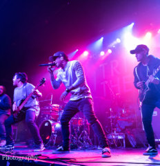 Tribal Theory
