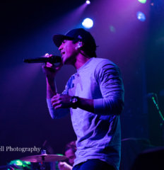 Tribal Theory