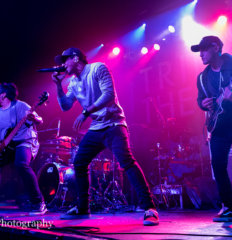 Tribal Theory