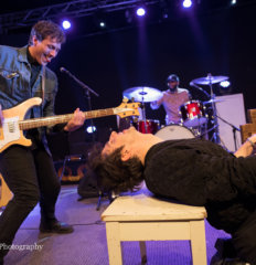 Low Cut Connie