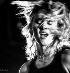 6597_broods