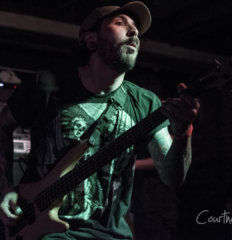 Dayseeker-6