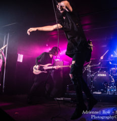 Northlane33