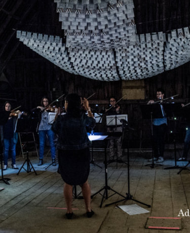 ForestStringEnsemble21