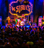 8369_struts_05Nov17_LindaCarlson_web