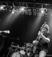 Dark Star Orchestra IMG_7413