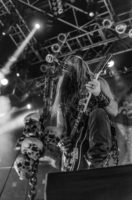 BLS-Mag–15