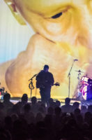 Portugal. the Man