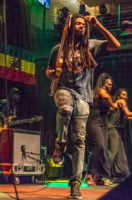 The Wailers
