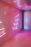 Kesha Performs In Miami Exclusively For Hilton Honors Members