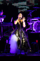 Evanescence-5