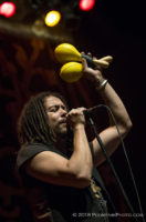 The Magpie Salute IMG_3649