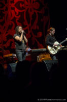 The Magpie Salute IMG_3692