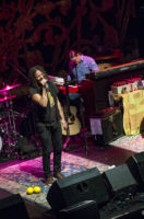The Magpie Salute IMG_3723
