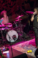 The Magpie Salute IMG_3734