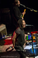 The Magpie Salute IMG_3834