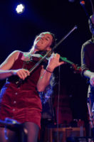 Driftwood_1