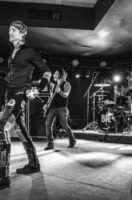 1148_Buckcherry_20Mar2019_LindaCarlson_web