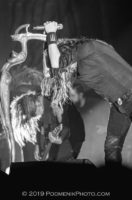 Korn IMG_4193