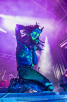 Wednesday 13 A75P7982