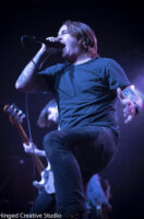 Limbs-3