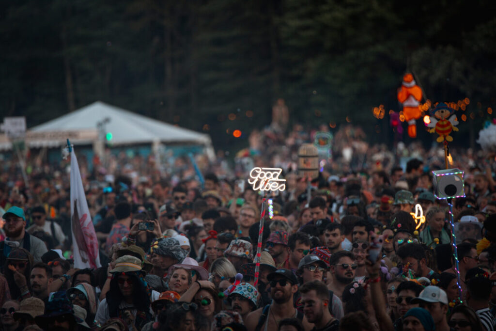 Crowd at a festival